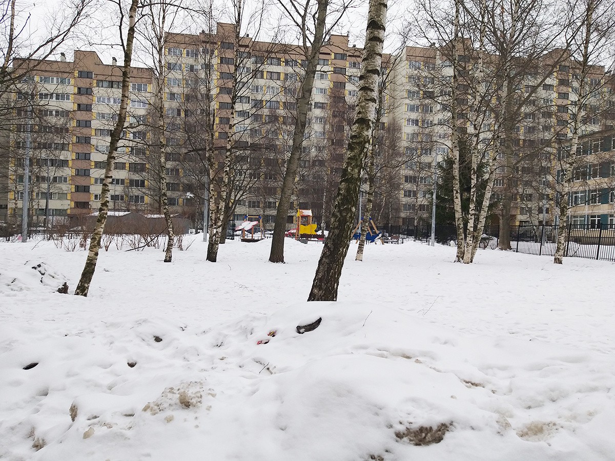 г. Санкт-Петербург, ул. Есенина, д. 8, к. 1-придомовая территория