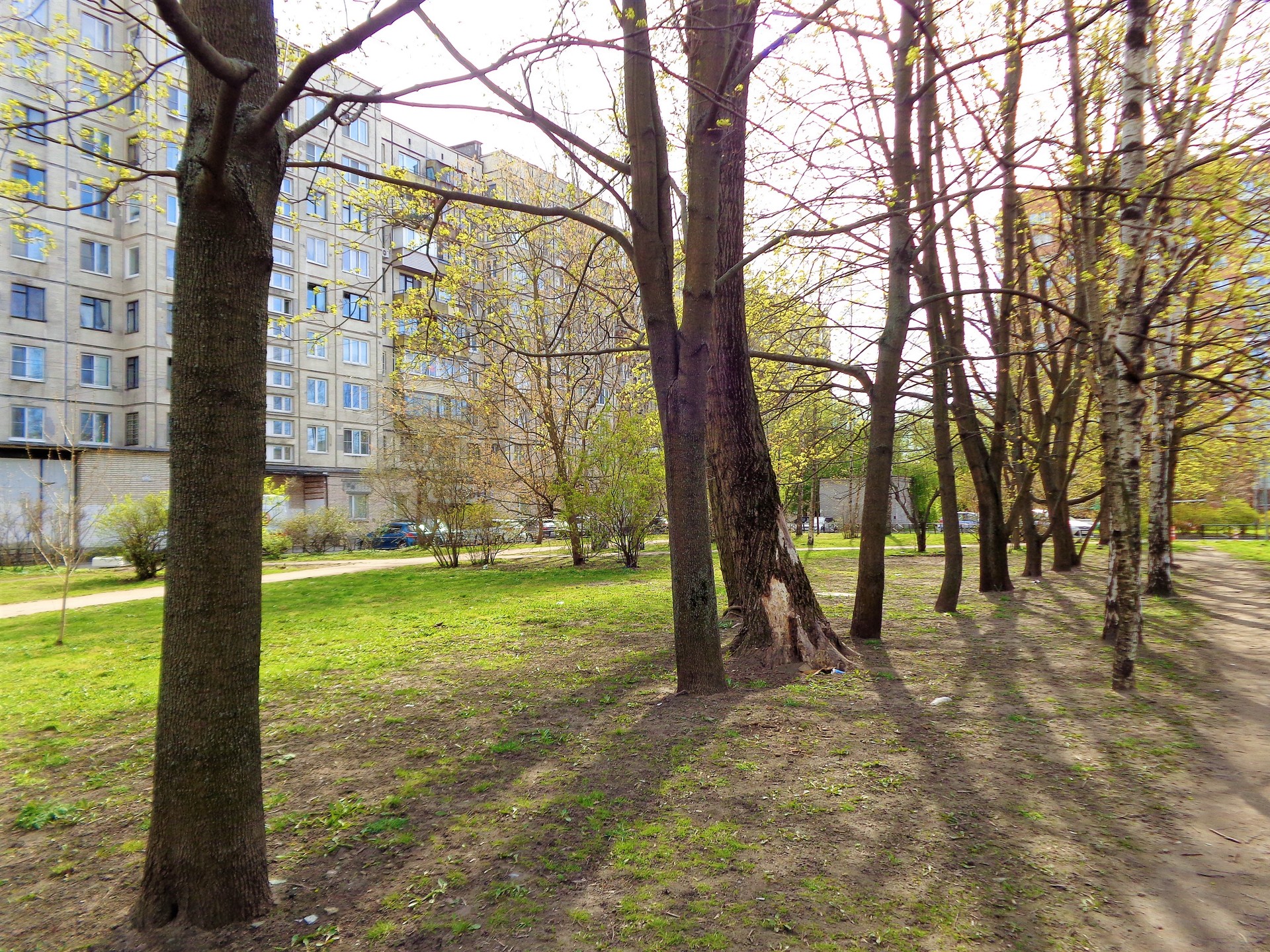 г. Санкт-Петербург, пр-кт. Заневский, д. 30-придомовая территория