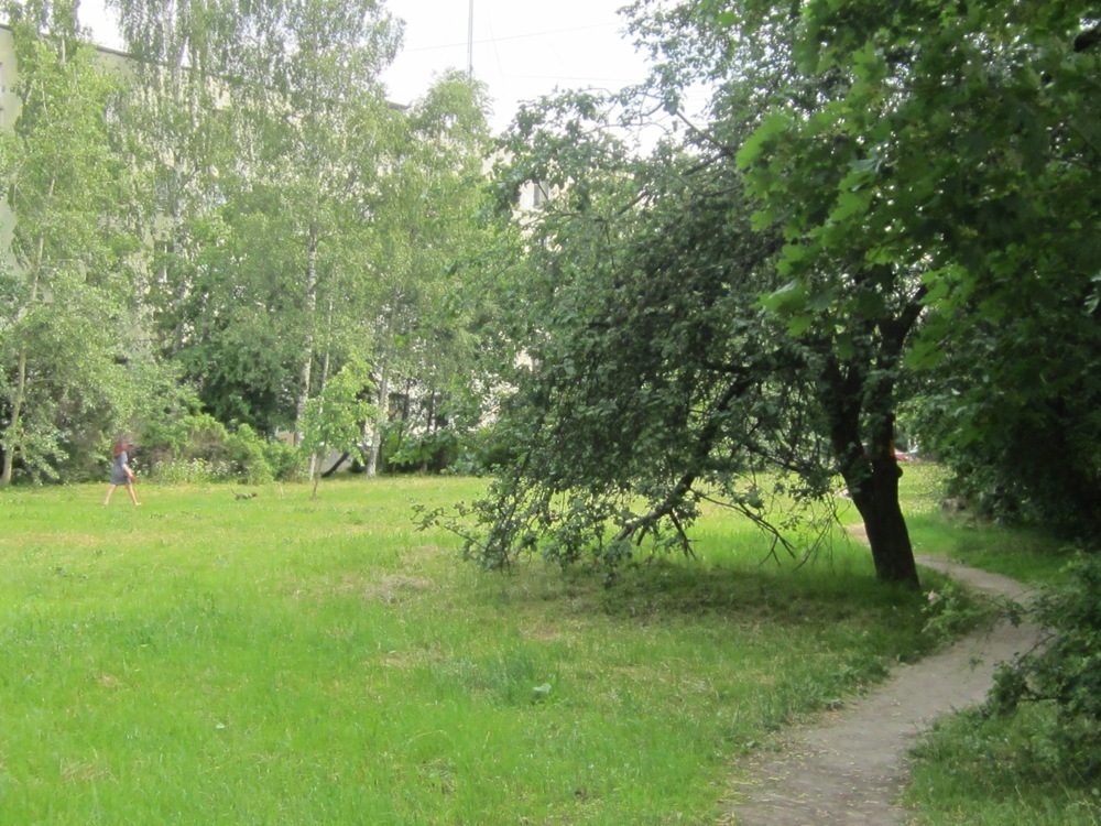 г. Санкт-Петербург, ул. Зины Портновой, д. 50, лит. А-придомовая территория