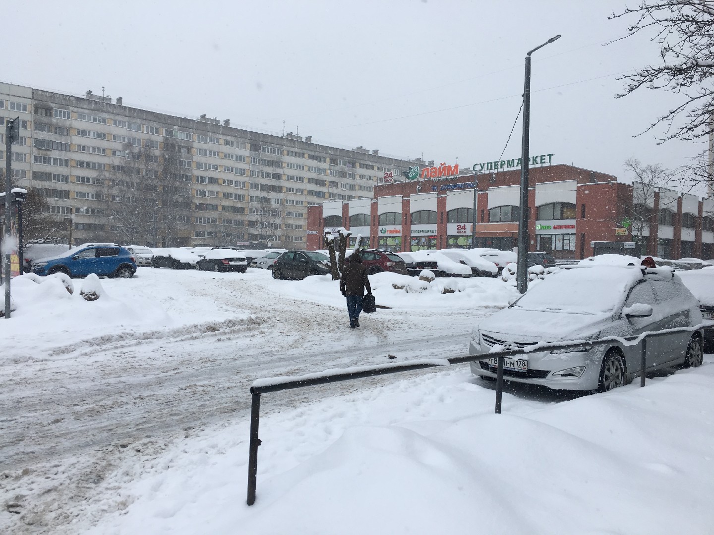 г. Санкт-Петербург, пр-кт. Испытателей, д. 11, к. 1А-придомовая территория