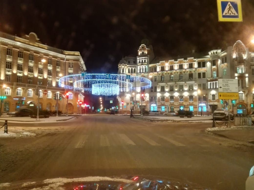 г. Санкт-Петербург, пр-кт. Каменноостровский, д. 12-придомовая территория