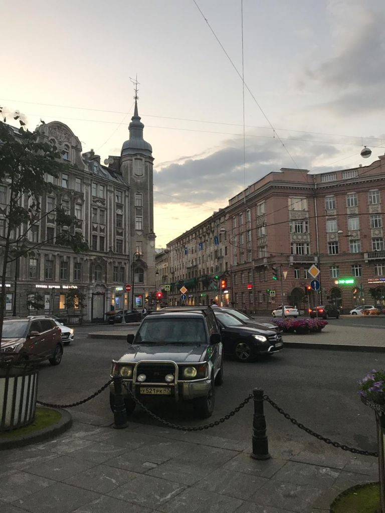 г. Санкт-Петербург, пр-кт. Каменноостровский, д. 13/2-придомовая территория