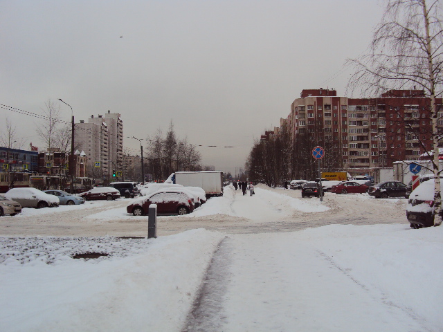 г. Санкт-Петербург, ул. Коллонтай, д. 32, к. 1-придомовая территория