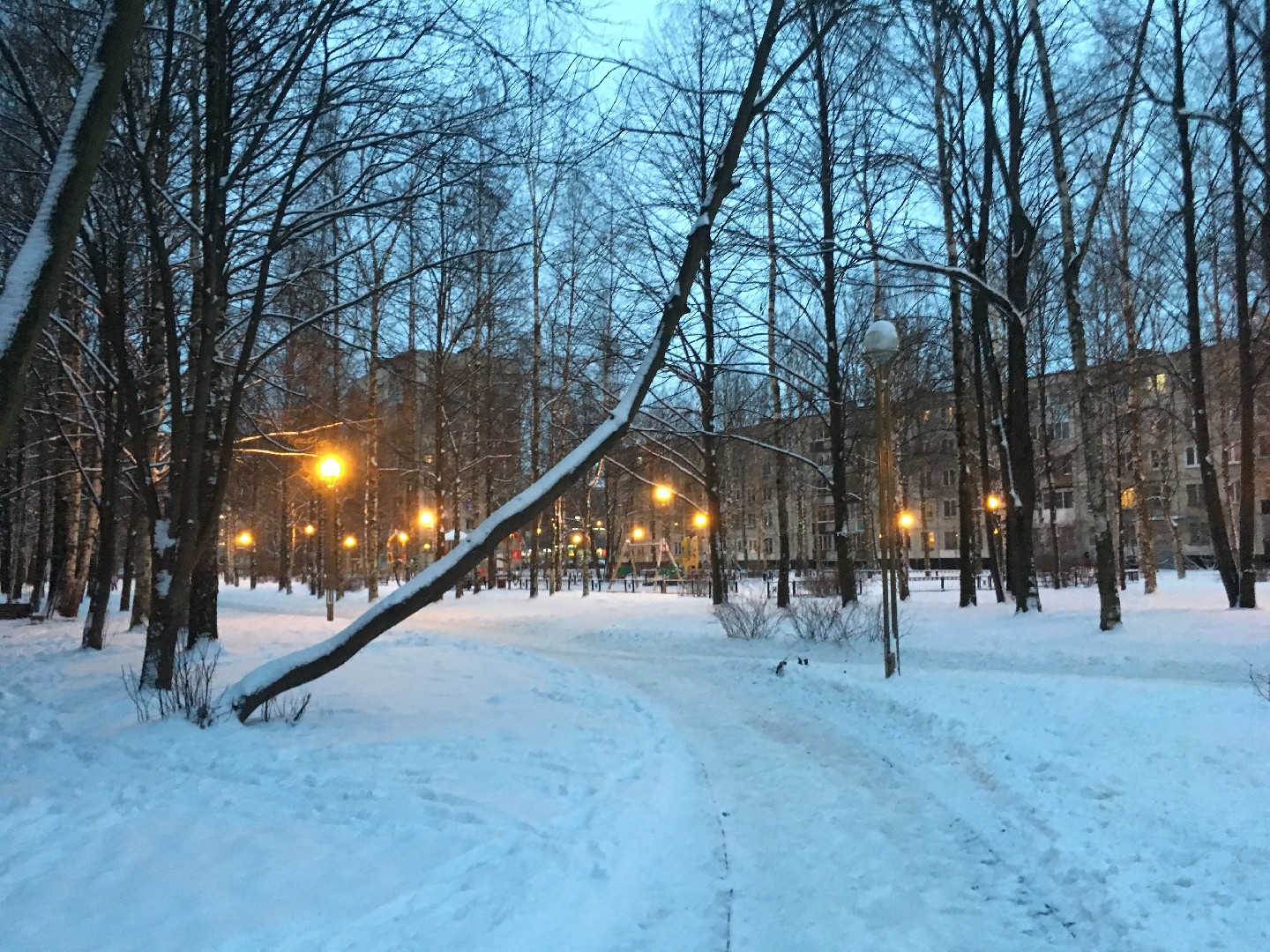 г. Санкт-Петербург, г. Колпино, ул. Пролетарская, д. 109-придомовая территория