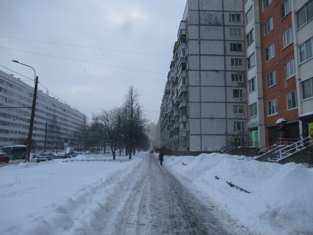 г. Санкт-Петербург, ул. Композиторов, д. 22, к. 4-придомовая территория