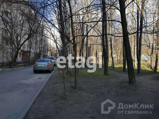 г. Санкт-Петербург, пр-кт. Кондратьевский, д. 83, к. 1-придомовая территория