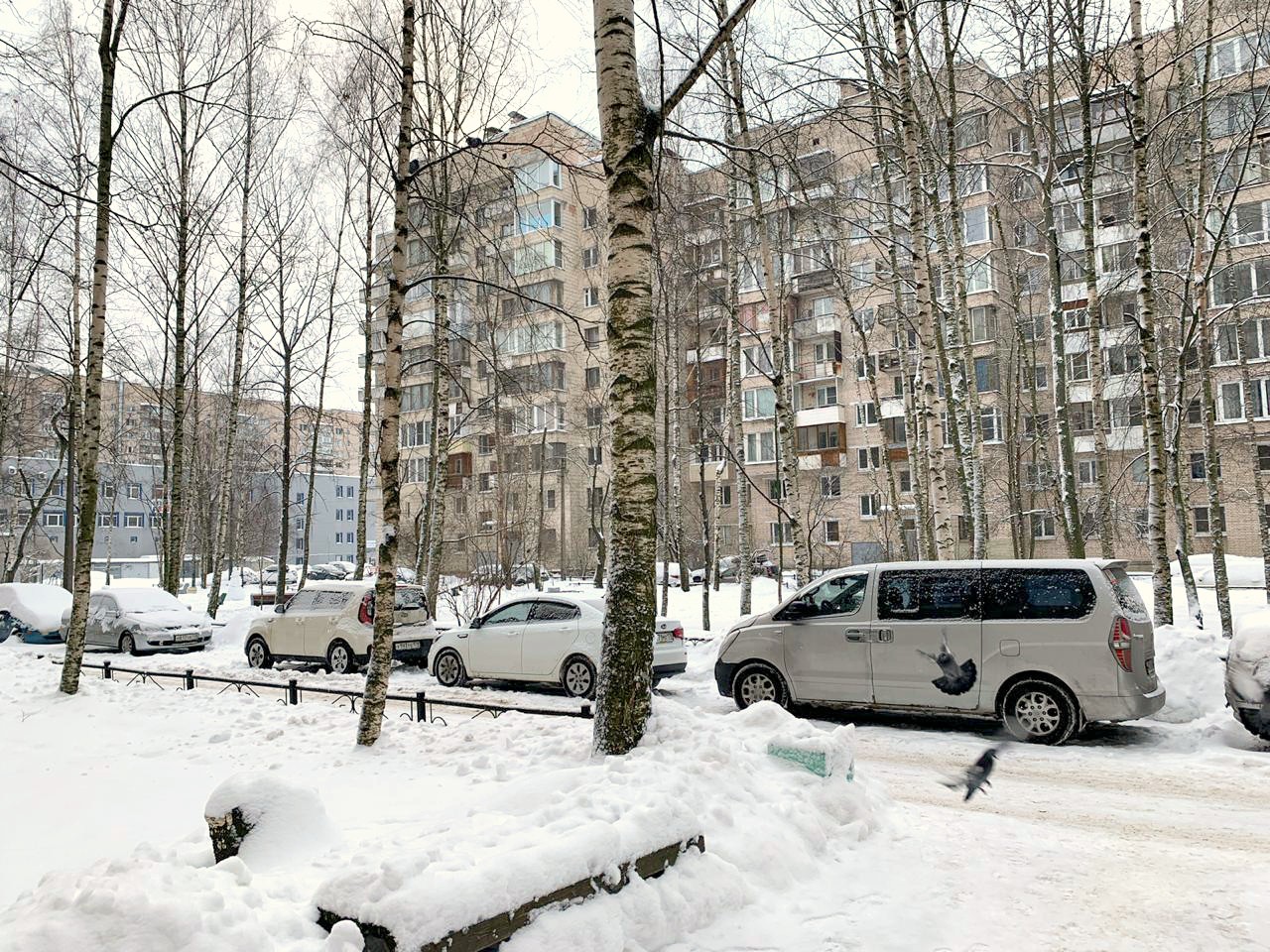 г. Санкт-Петербург, ул. Кораблестроителей, д. 16, к. 1, стр. А-придомовая территория