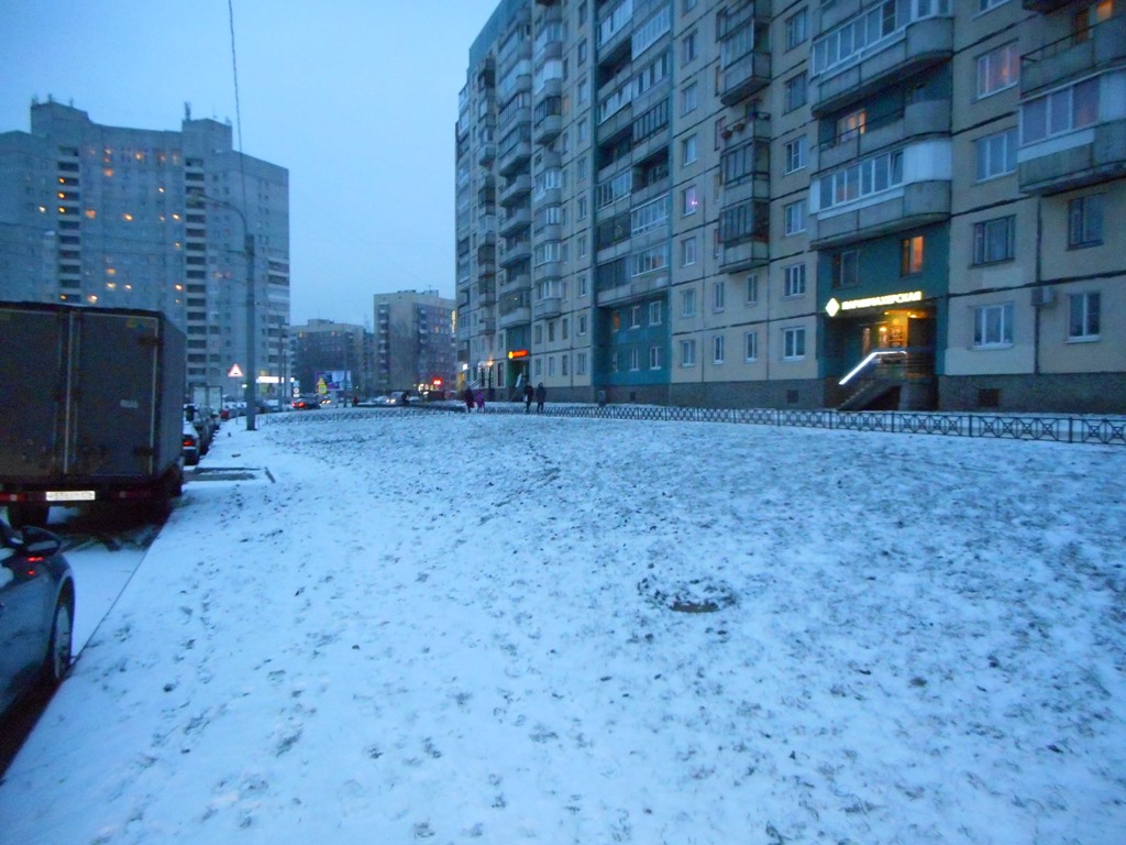 г. Санкт-Петербург, пр-кт. Королева, д. 30, к. 1, лит. А-придомовая территория