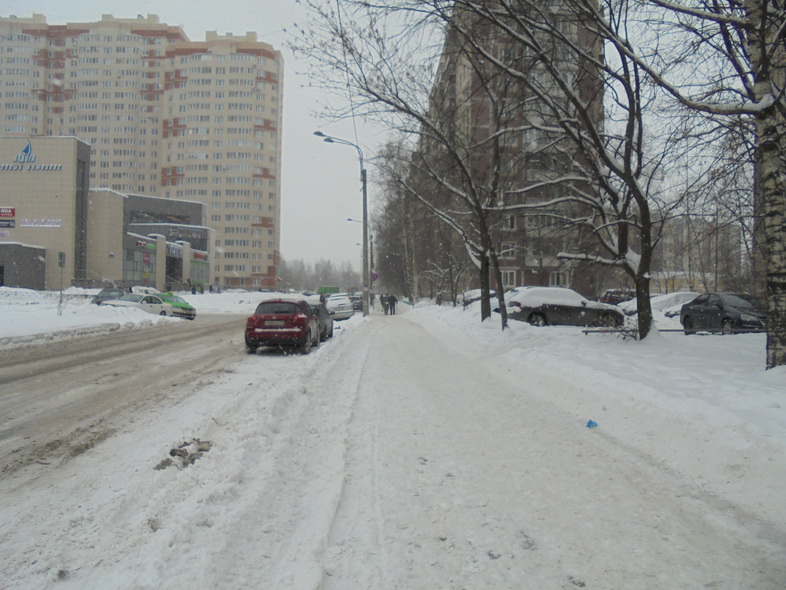 г. Санкт-Петербург, ул. Кржижановского, д. 5, к. 4-придомовая территория