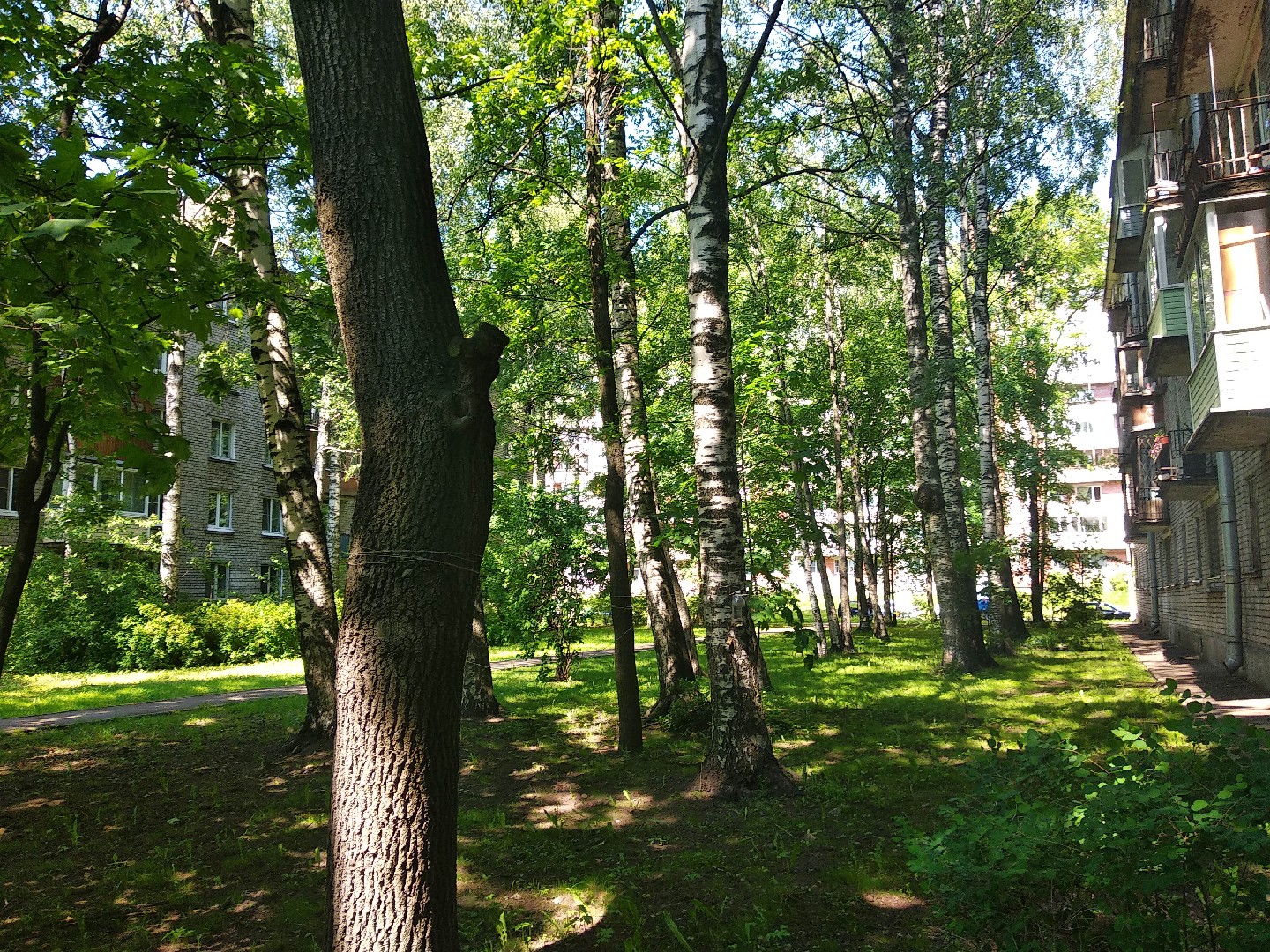 г. Санкт-Петербург, ул. Крюкова, д. 19-придомовая территория