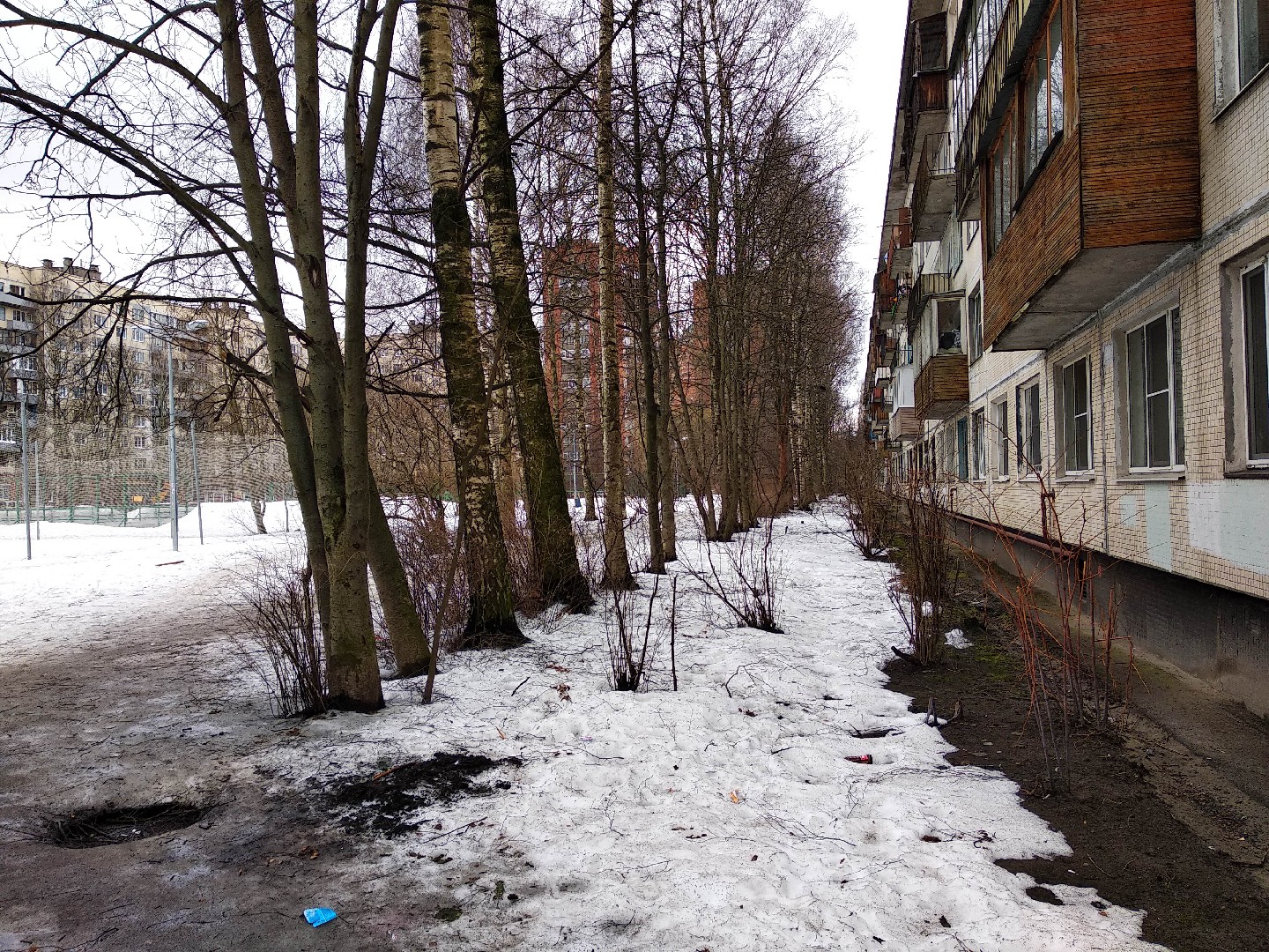 г. Санкт-Петербург, пр-кт. Культуры, д. 12, к. 2, лит. А-придомовая территория