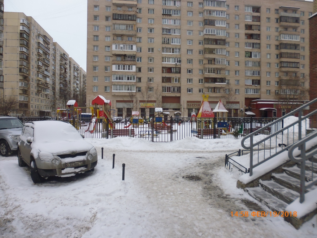 г. Санкт-Петербург, ул. Латышских Стрелков, д. 1-придомовая территория