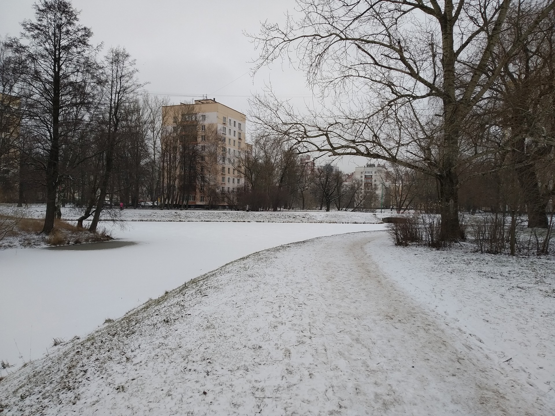 г. Санкт-Петербург, ул. Лени Голикова, д. 20, лит. А-придомовая территория