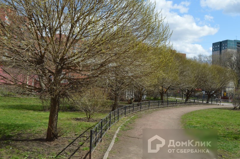 г. Санкт-Петербург, пр-кт. Ленинский, д. 79, к. 1-придомовая территория