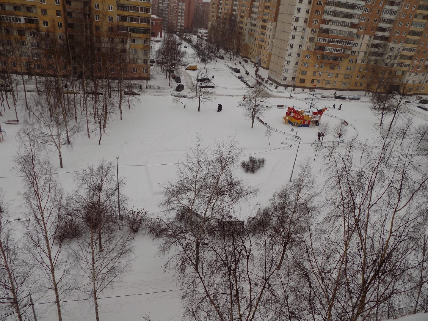 г. Санкт-Петербург, пр-кт. Ленинский, д. 79, к. 1-придомовая территория