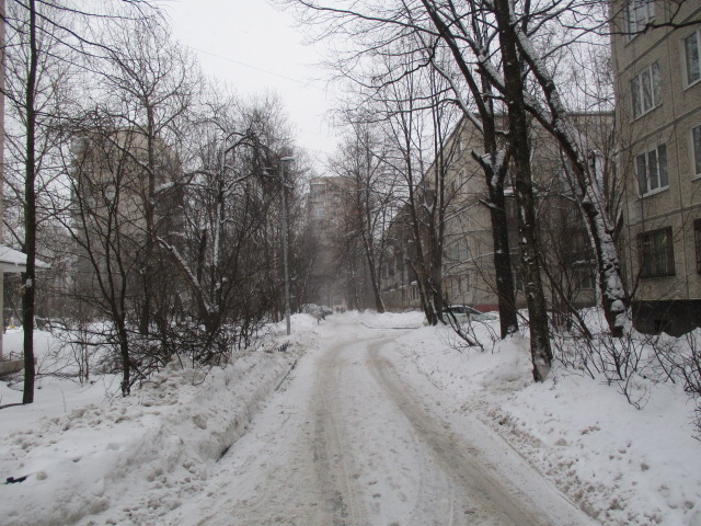 г. Санкт-Петербург, ул. Ленсовета, д. 58, лит. А-придомовая территория