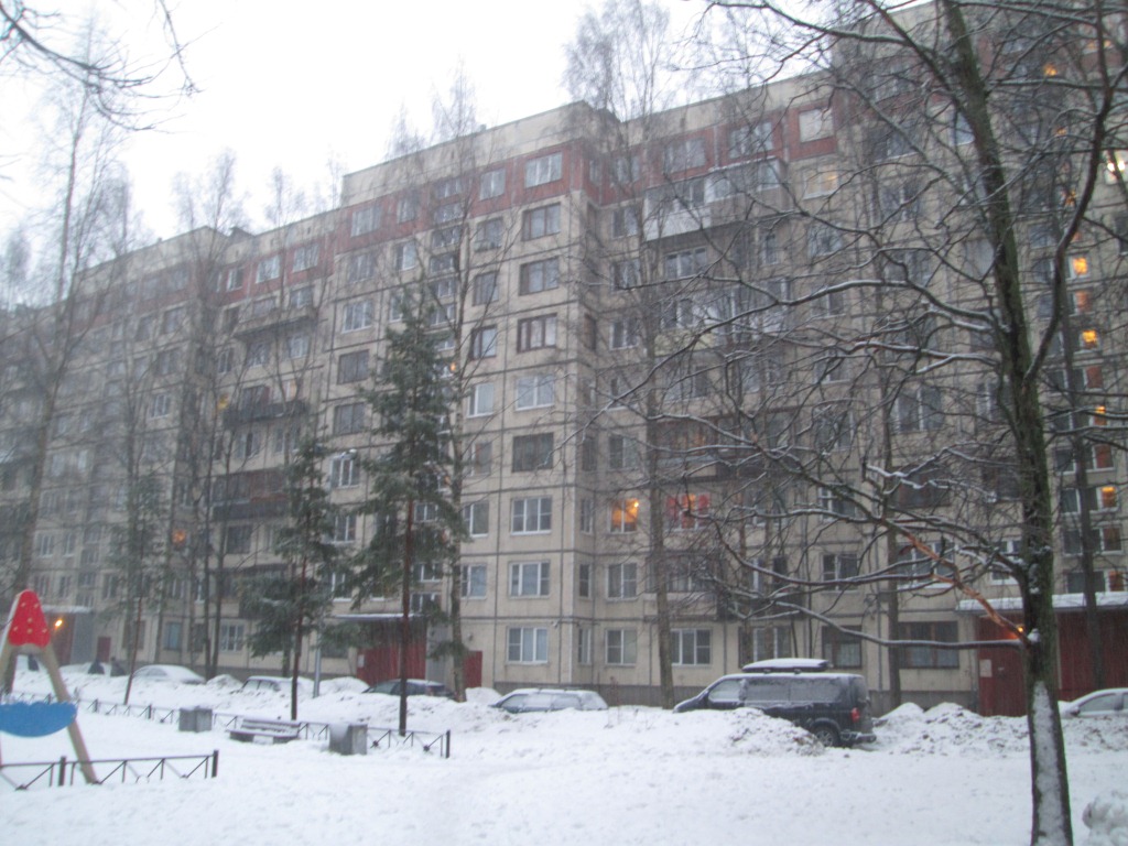 г. Санкт-Петербург, пр-кт. Луначарского, д. 70, к. 1-фасад здания