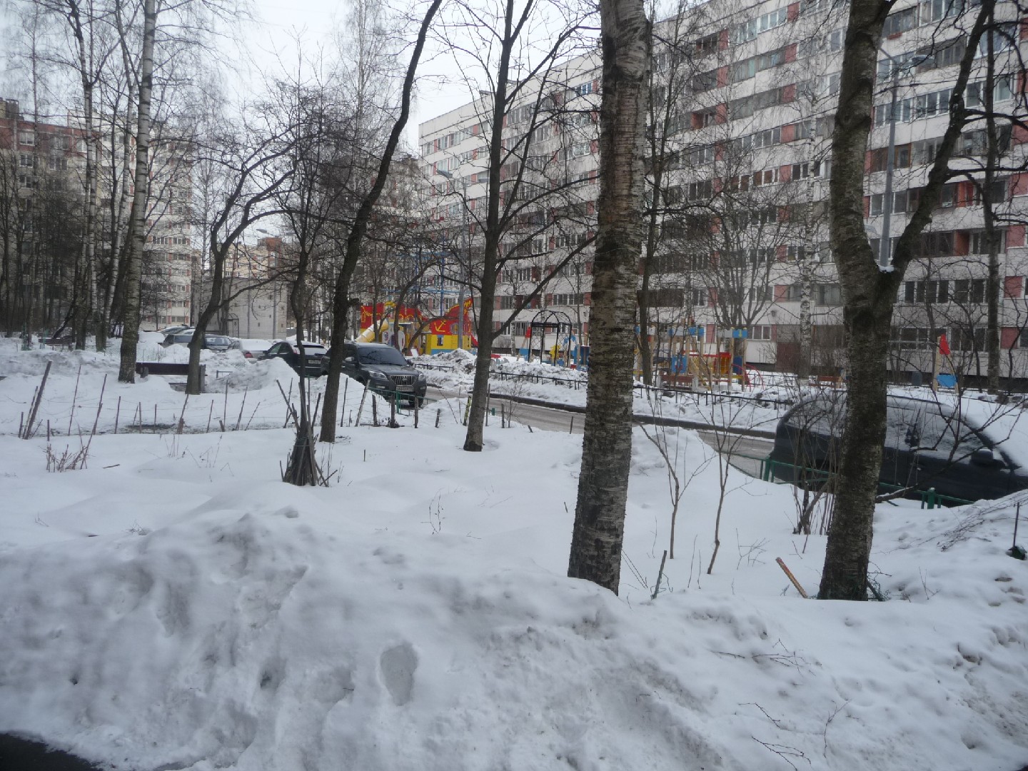 г. Санкт-Петербург, пр-кт. Луначарского, д. 76, лит. А-придомовая территория