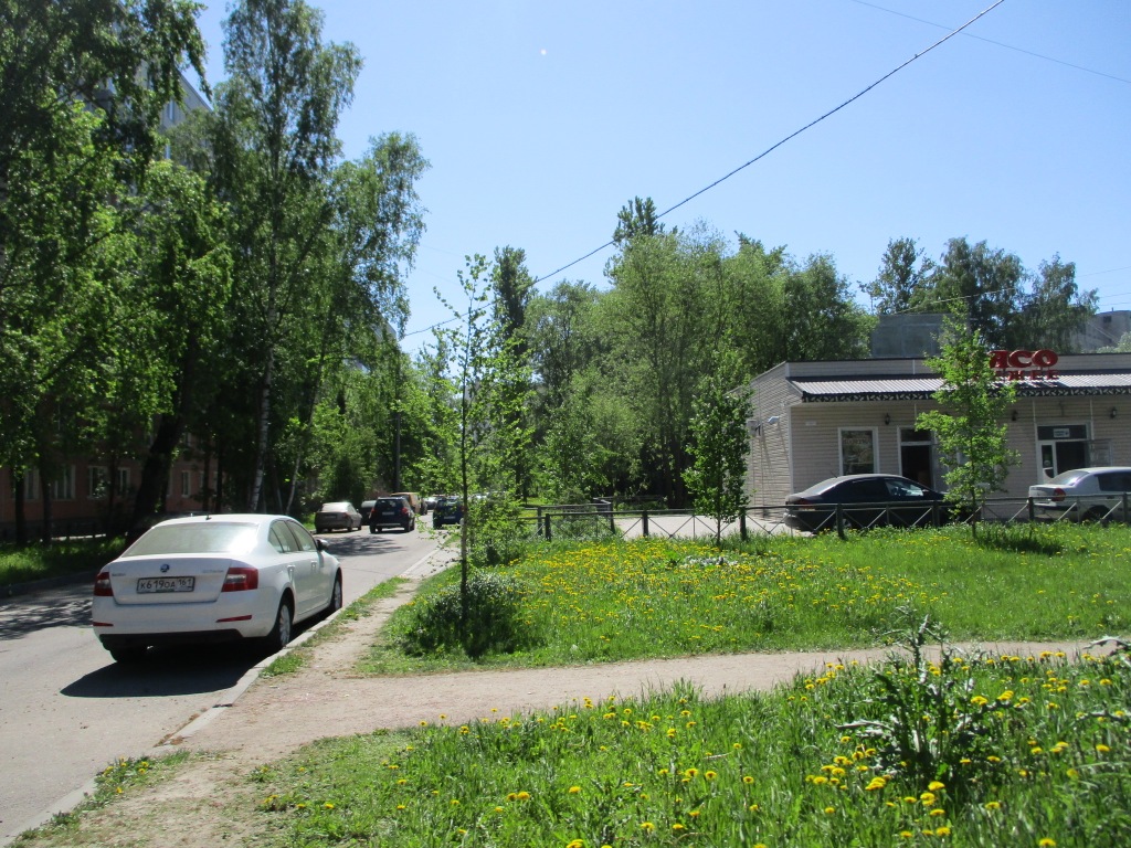 г. Санкт-Петербург, пр-кт. Маршала Блюхера, д. 59-придомовая территория