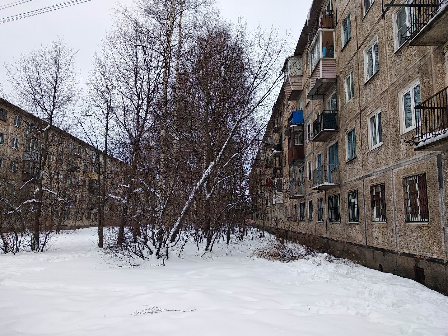 г. Санкт-Петербург, пр-кт. Металлистов, д. 67, лит. А-придомовая территория