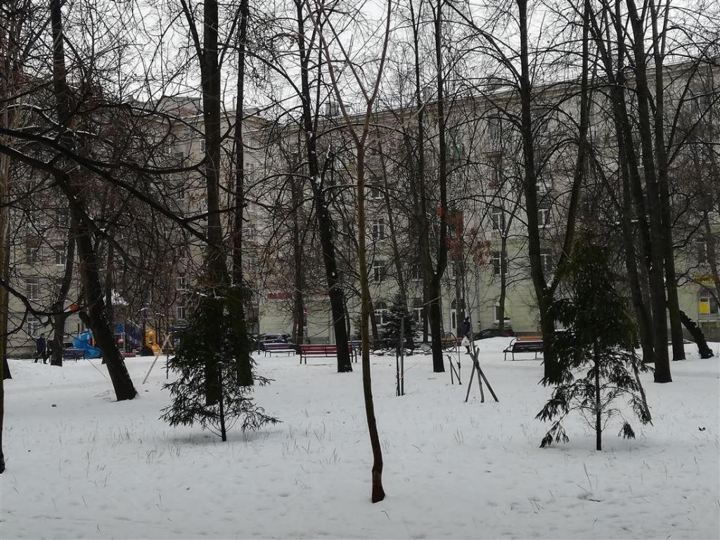 г. Санкт-Петербург, пр-кт. Московский, д. 195-придомовая территория