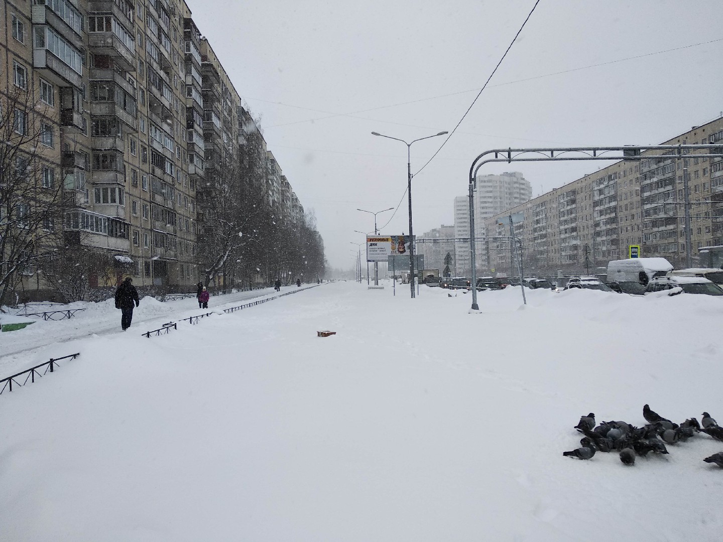 г. Санкт-Петербург, пр-кт. Наставников, д. 40, к. 1-придомовая территория