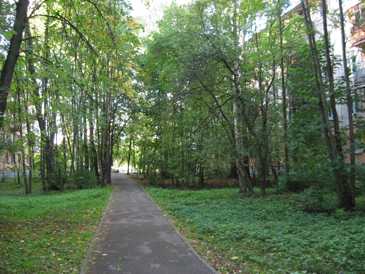 г. Санкт-Петербург, пр-кт. Науки, д. 5-придомовая территория