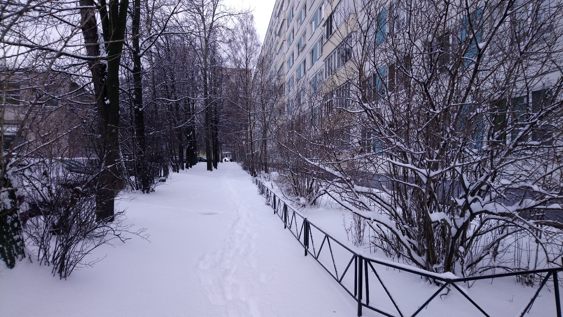 г. Санкт-Петербург, пр-кт. Науки, д. 10, к. 2, лит. А-придомовая территория