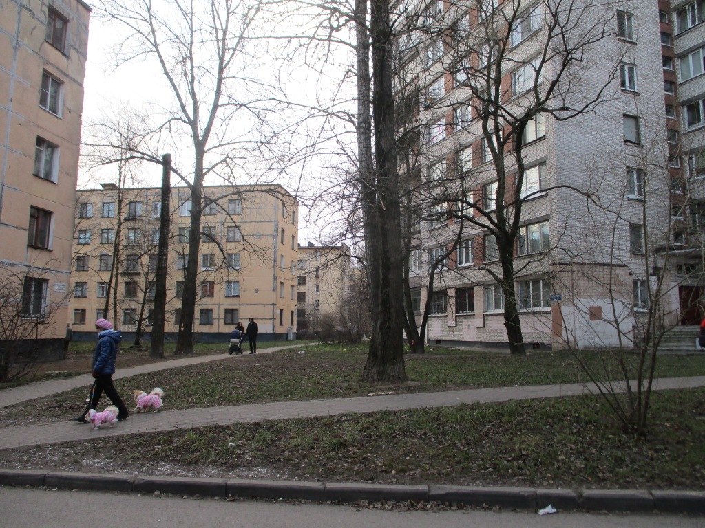 г. Санкт-Петербург, б-р. Новаторов, д. 20, лит. А-придомовая территория