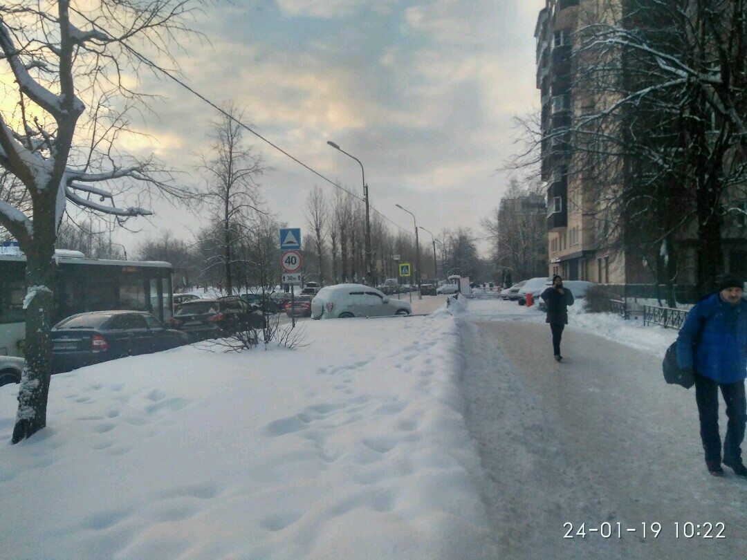 г. Санкт-Петербург, б-р. Новаторов, д. 29, лит. А-придомовая территория