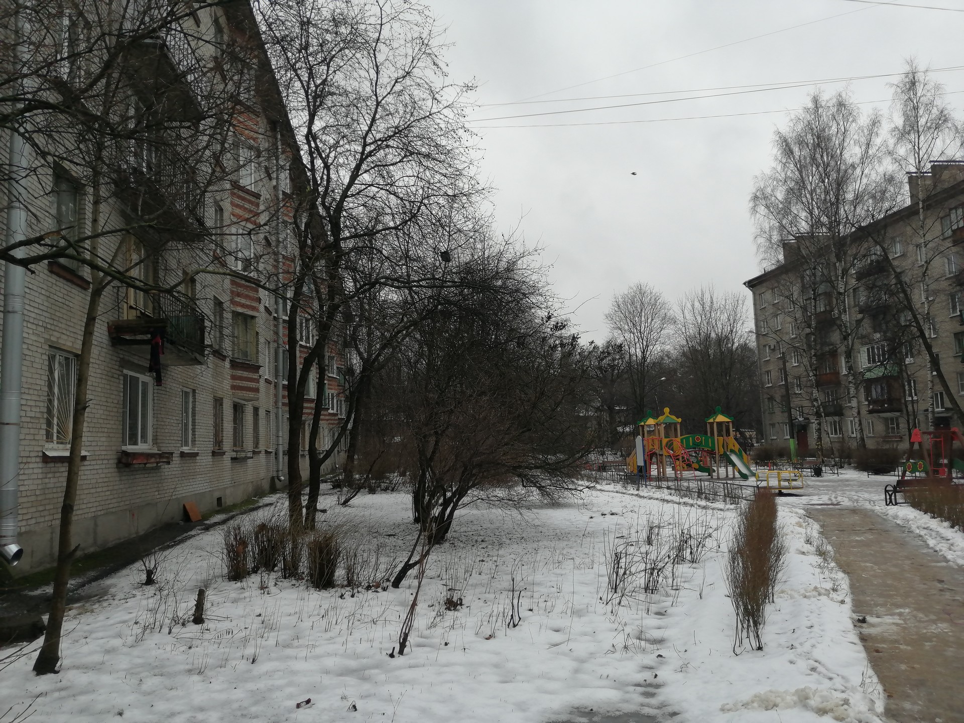 г. Санкт-Петербург, ул. Новороссийская, д. 4-придомовая территория