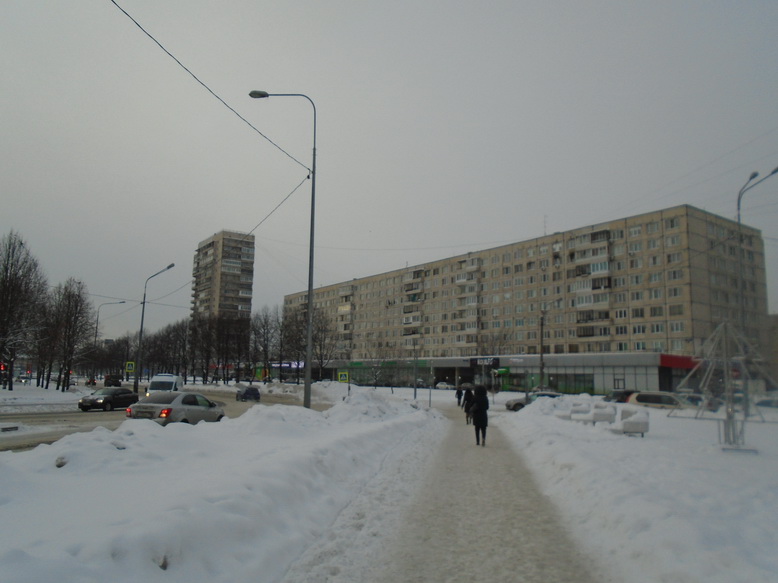 г. Санкт-Петербург, наб. Октябрьская, д. 64, к. 3-придомовая территория