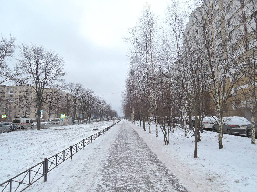 г. Санкт-Петербург, ул. Олеко Дундича, д. 25, к. 1, лит. А-придомовая территория