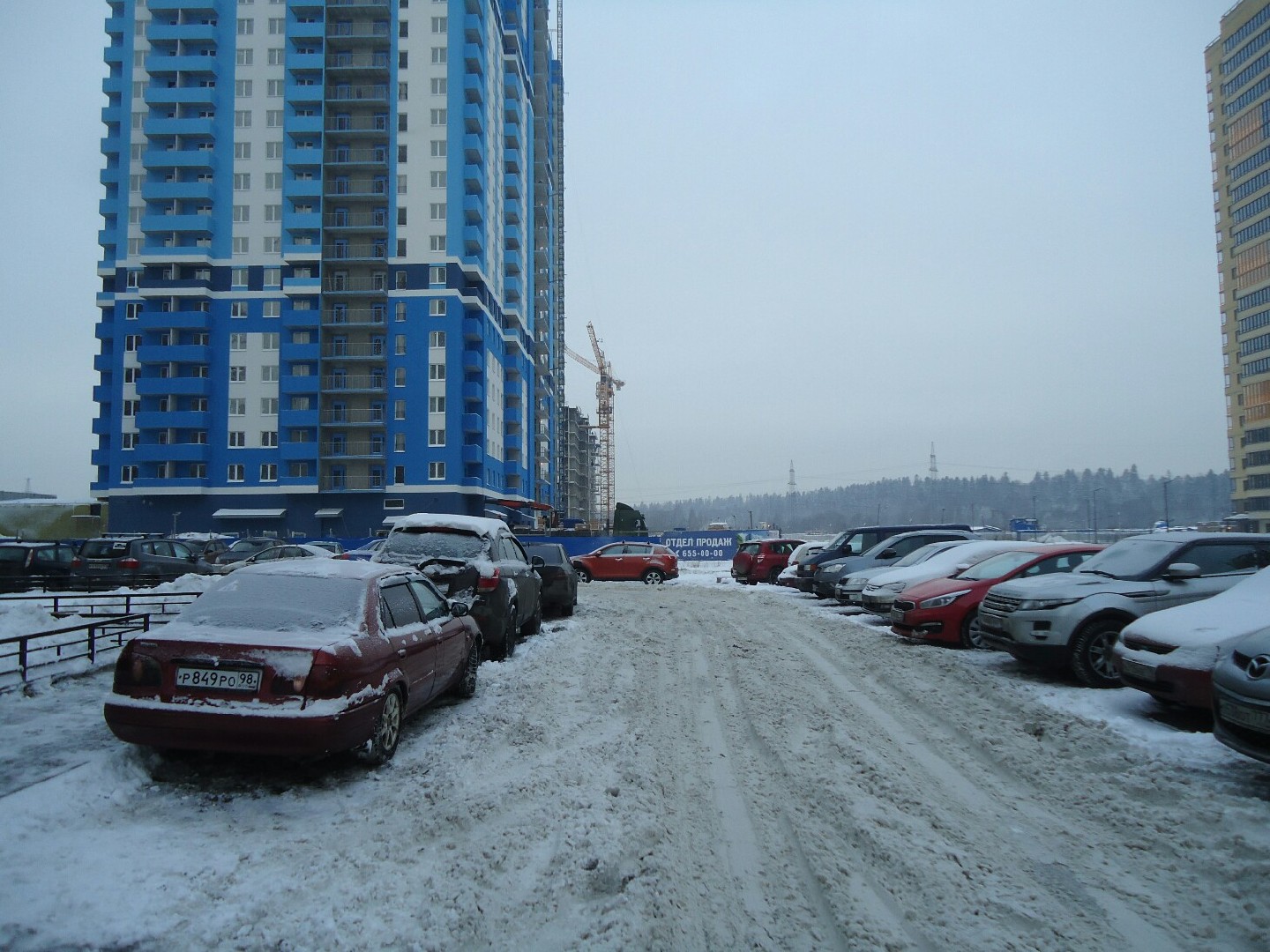 г. Санкт-Петербург, п. Парголово, ул. Заречная, д. 19, к. 1-придомовая территория