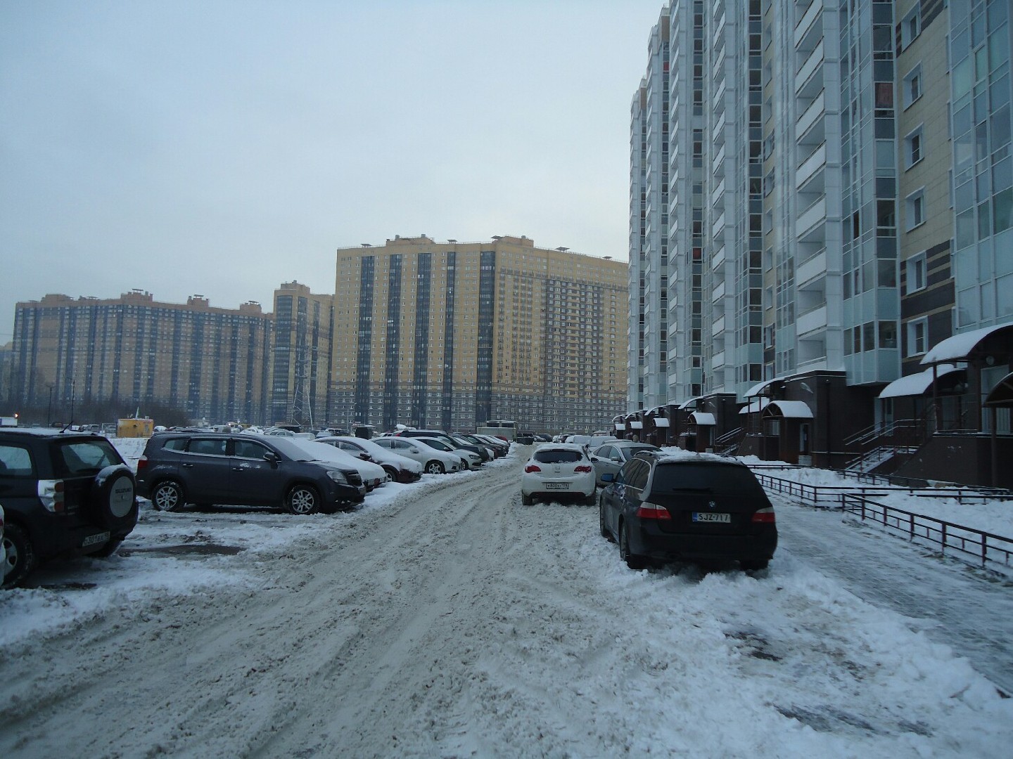 г. Санкт-Петербург, п. Парголово, ул. Заречная, д. 19, к. 1-придомовая территория