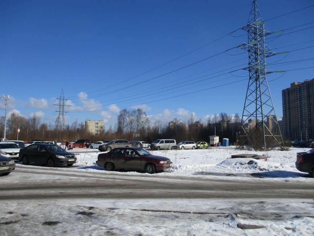 г. Санкт-Петербург, п. Парголово, ул. Заречная, д. 19, к. 1-придомовая территория