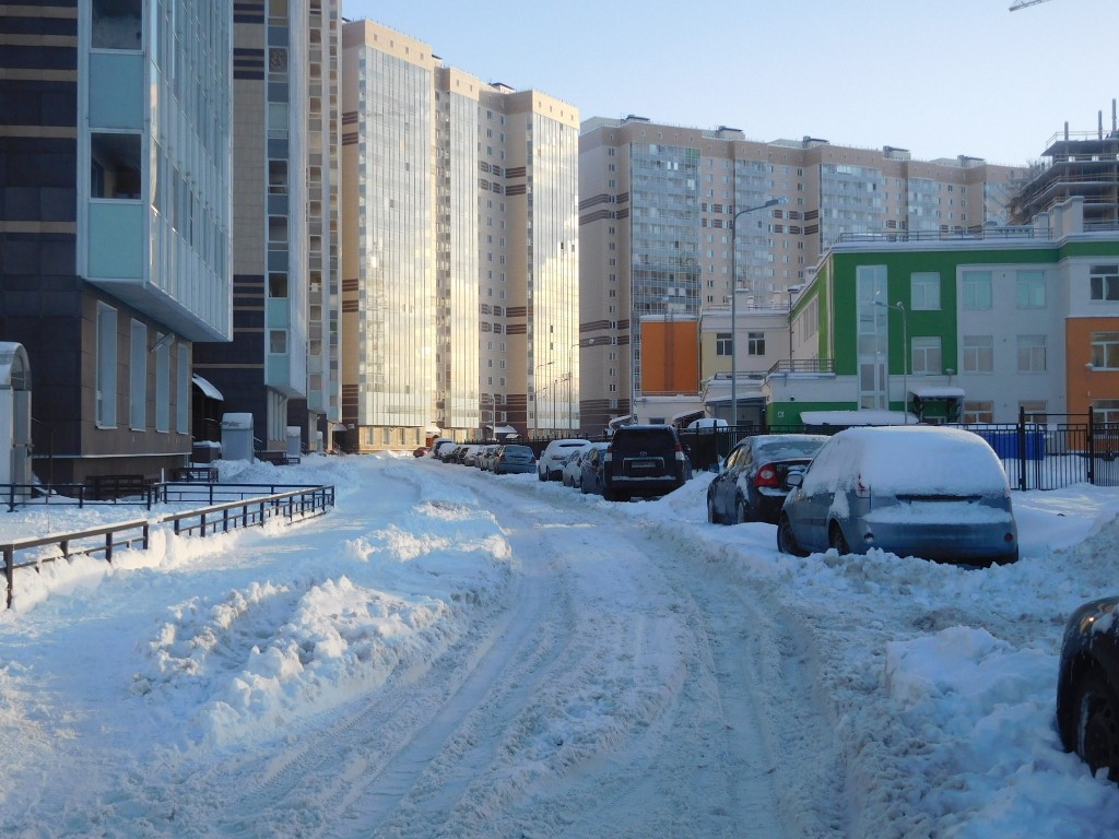 г. Санкт-Петербург, п. Парголово, ул. Заречная, д. 19, к. 1-придомовая территория