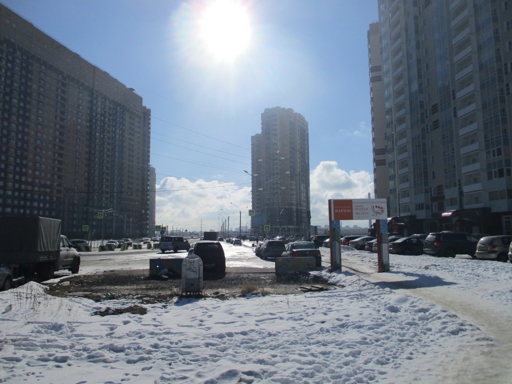 г. Санкт-Петербург, п. Парголово, ул. Заречная, д. 19, к. 1-придомовая территория