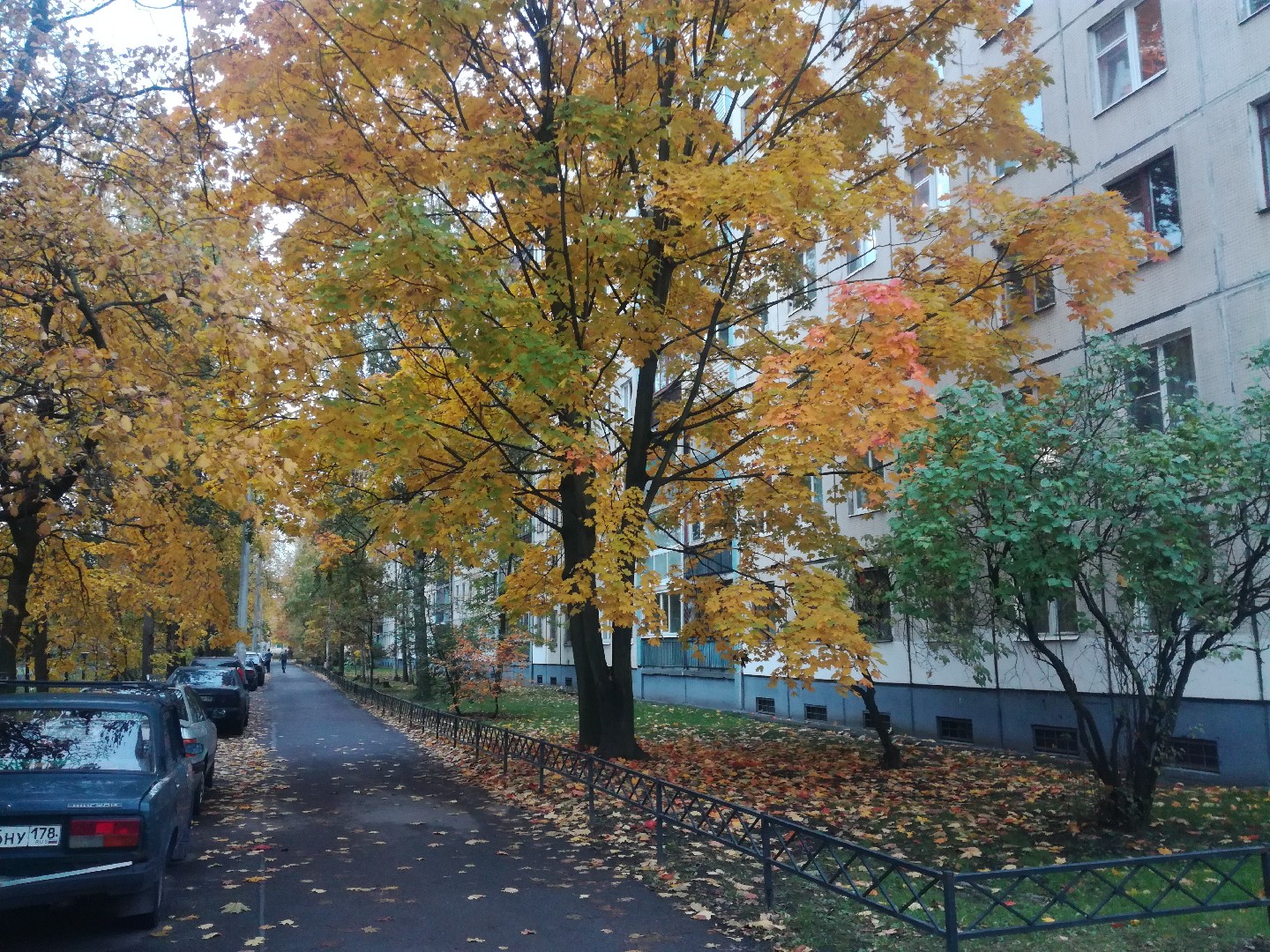 г. Санкт-Петербург, ул. Партизана Германа, д. 28, к. 2-придомовая территория