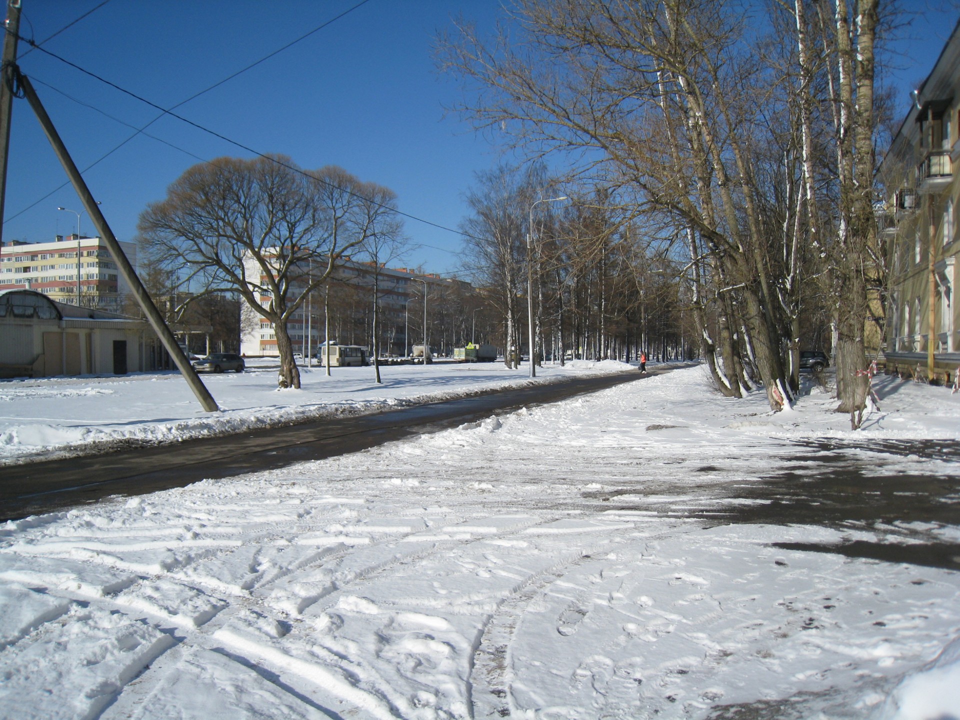 г. Санкт-Петербург, ул. Партизана Германа, д. 43-придомовая территория