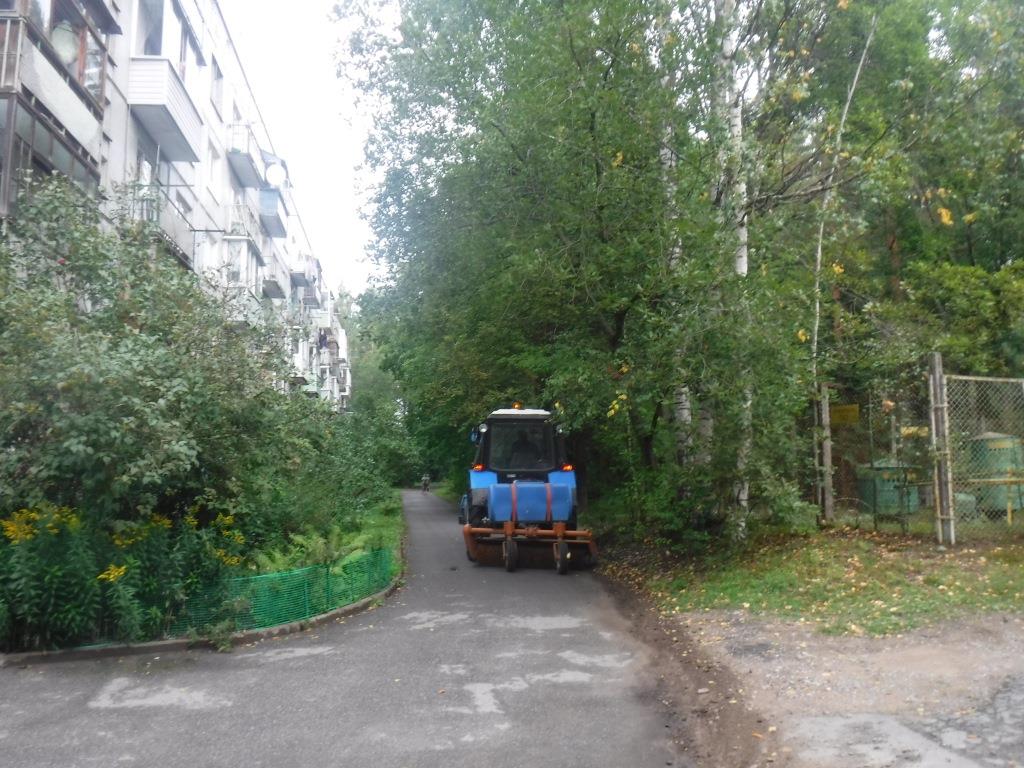 г. Санкт-Петербург, п. Песочный, городок. Военный, д. 25-придомовая территория