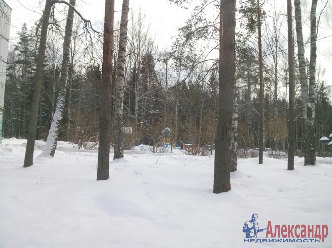 г. Санкт-Петербург, п. Песочный, городок. Военный, д. 25-придомовая территория