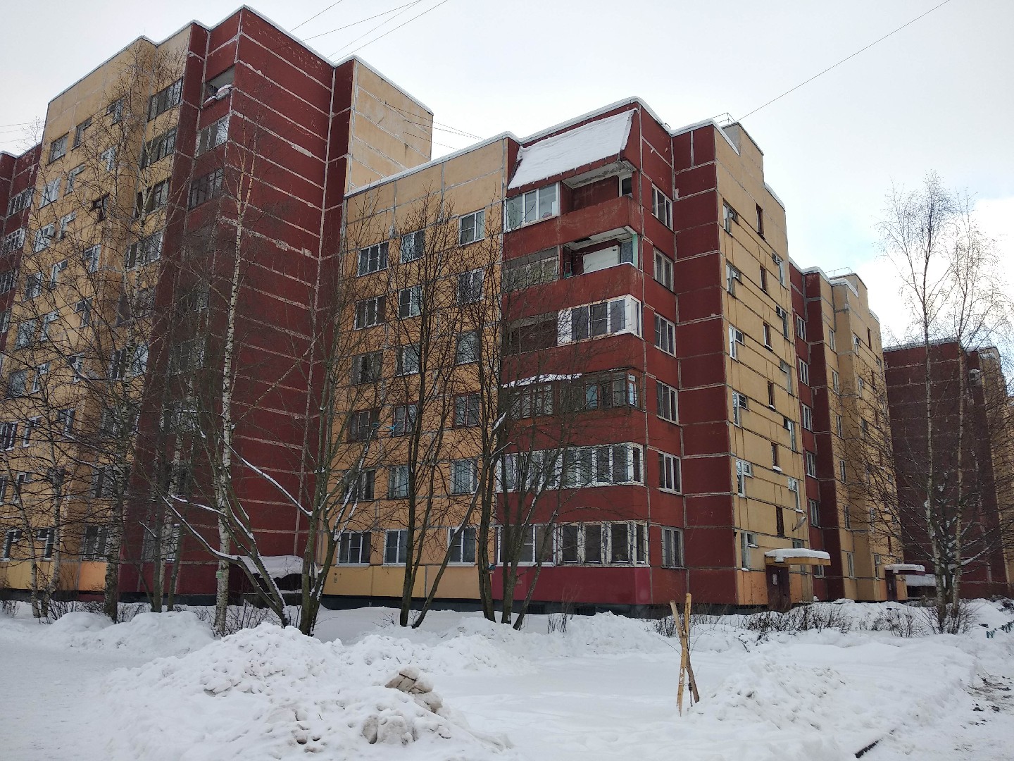 г. Санкт-Петербург, г. Петергоф, ул. Чебышевская, д. 9-фасад здания