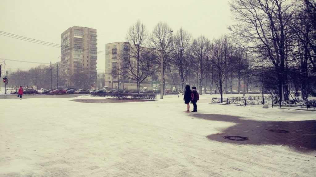 г. Санкт-Петербург, пр-кт. Пискаревский, д. 10-придомовая территория