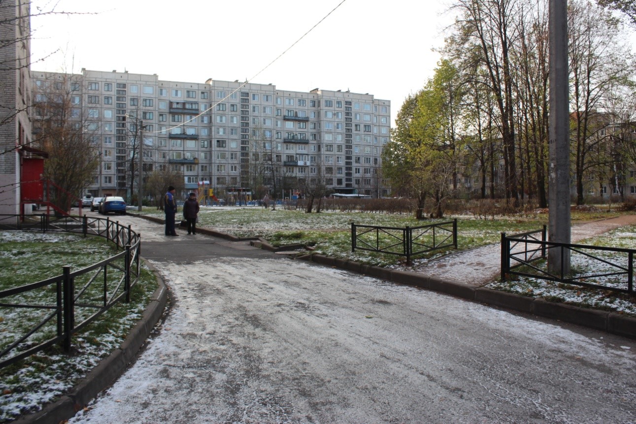 г. Санкт-Петербург, пр-кт. Пискаревский, д. 10, к. 2, лит. А-придомовая территория