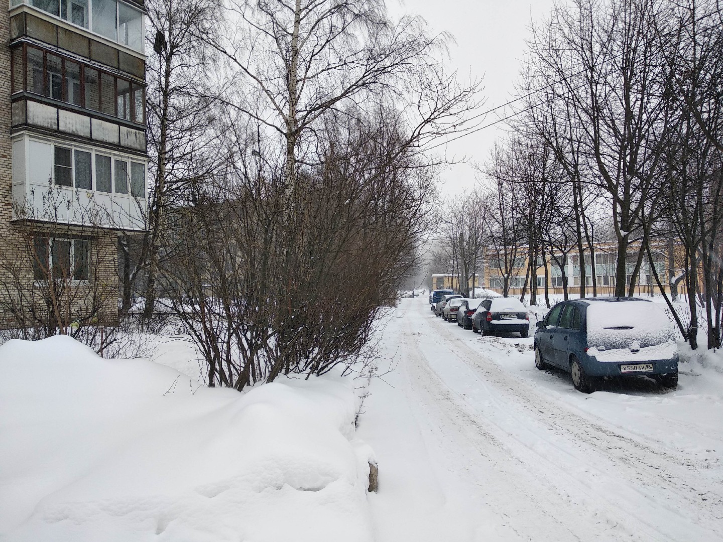 г. Санкт-Петербург, пр-кт. Пискаревский, д. 15-придомовая территория