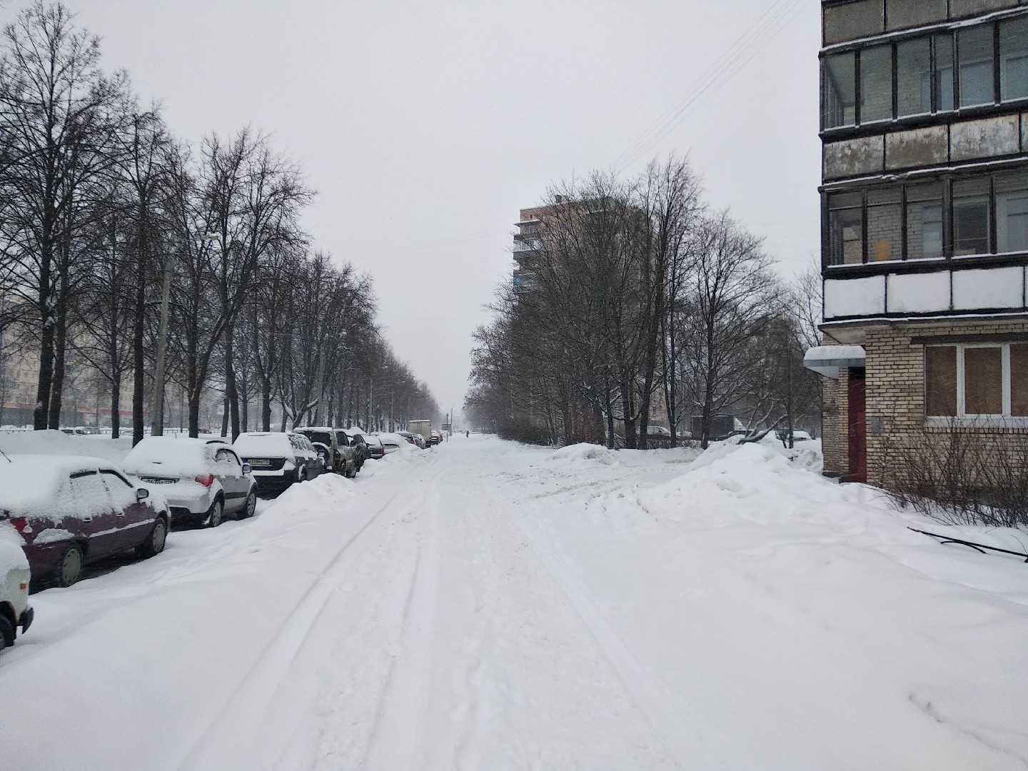 г. Санкт-Петербург, пр-кт. Пискаревский, д. 15-придомовая территория