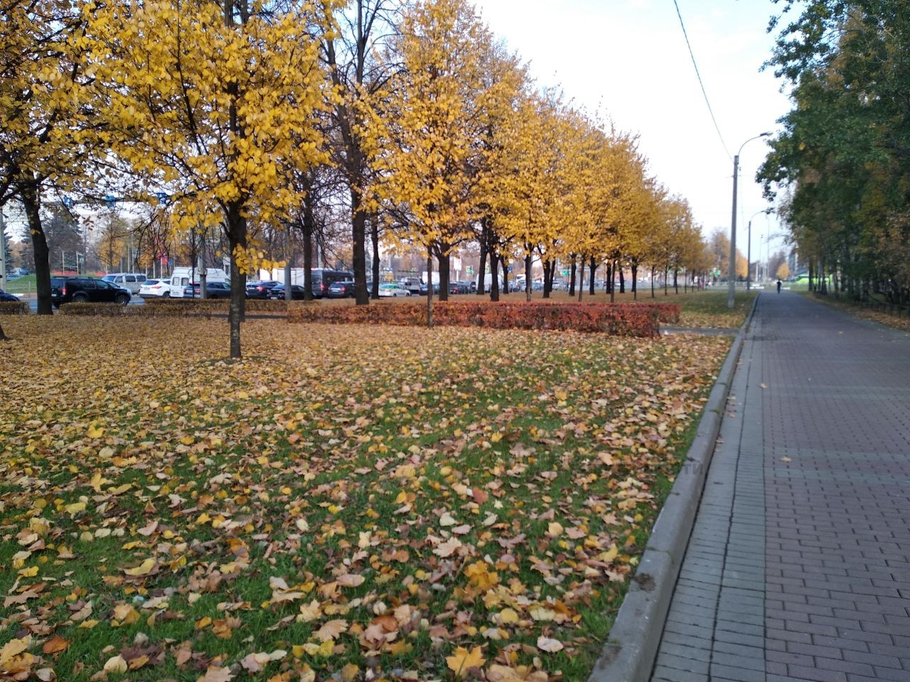 г. Санкт-Петербург, пр-кт. Пискаревский, д. 31-придомовая территория