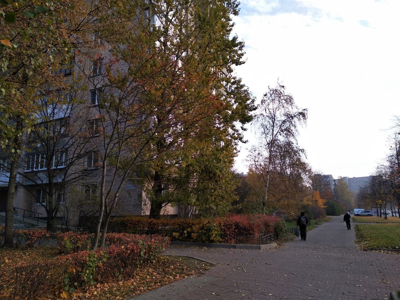 г. Санкт-Петербург, пр-кт. Пискаревский, д. 31-придомовая территория