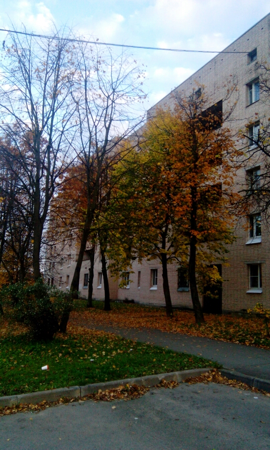 г. Санкт-Петербург, г. Пушкин, ул. Вячеслава Шишкова, д. 32/15-придомовая территория